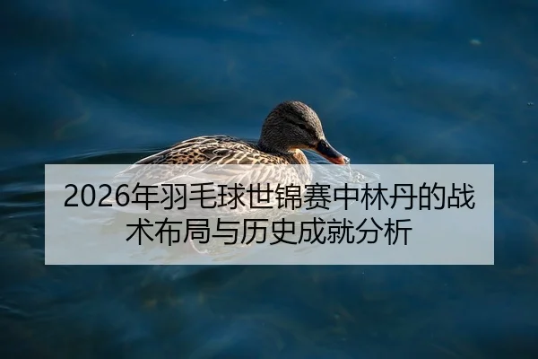 2026年羽毛球世锦赛中林丹的战术布局与历史成就分析