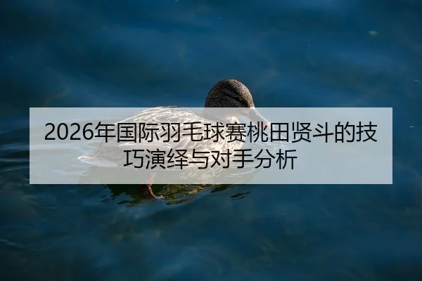 nian-guo-ji-yu-mao-qiu-sai-tao-tian-xian-dou-de-ji-qiao-yan-yi-yu-dui-shou-fen-xi-2-194.jpg